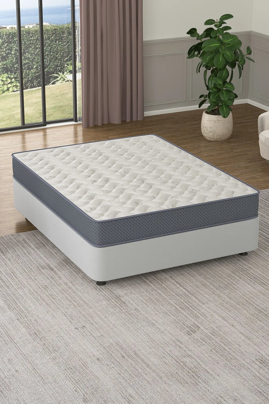 Spinal Assistance Džepicasta Jezgra